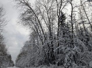 Witte Rd, Butternut, WI 54514