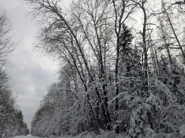 Witte Rd, Butternut, WI 54514