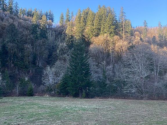 2nd image of 2922 Crystal Creek Loop