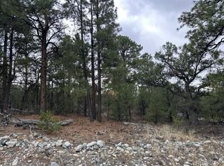 204 Big Bear Rd, Mosca, CO 81146