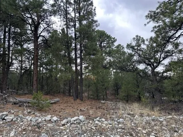 204 Big Bear Road, Mosca, CO 81146