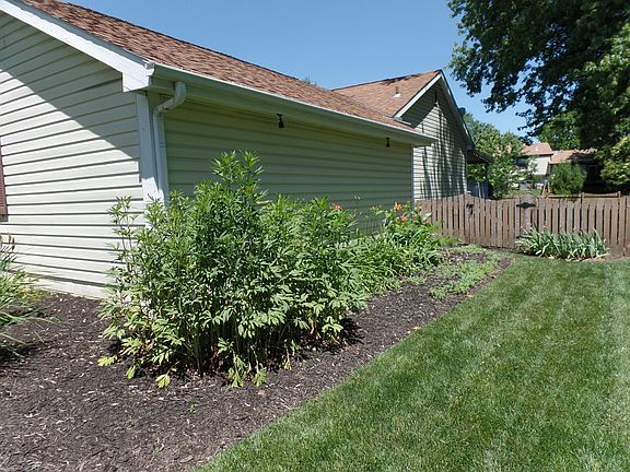 5th image of 3686 Kilkenny Dr
