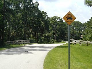 Willows Wildlife - See Listing Website Link for Video