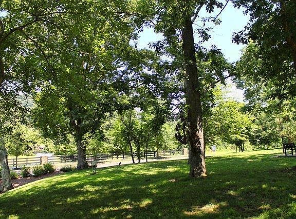 3rd image of 6044 Huntmere Ave Lot 465