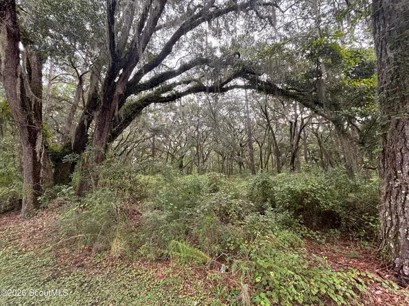 4 Carnochan Ln SE Lot 4, Darien, GA 31305