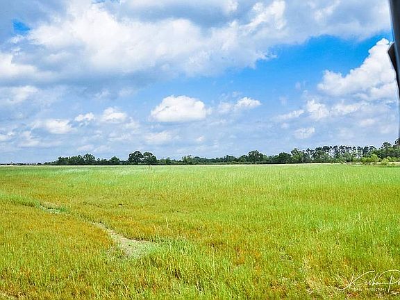 Back field behind house