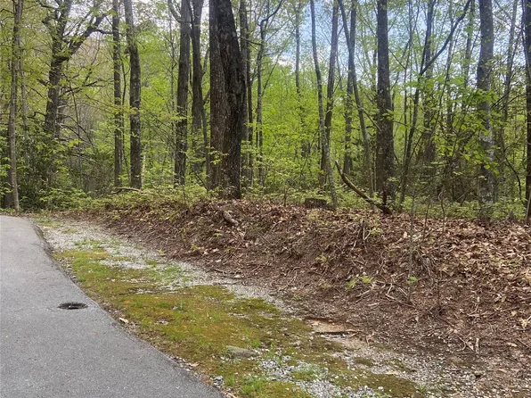 45 Wild Cherry Court, Sapphire, NC 28774