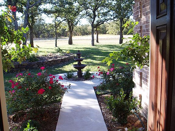 Looking out to front yard