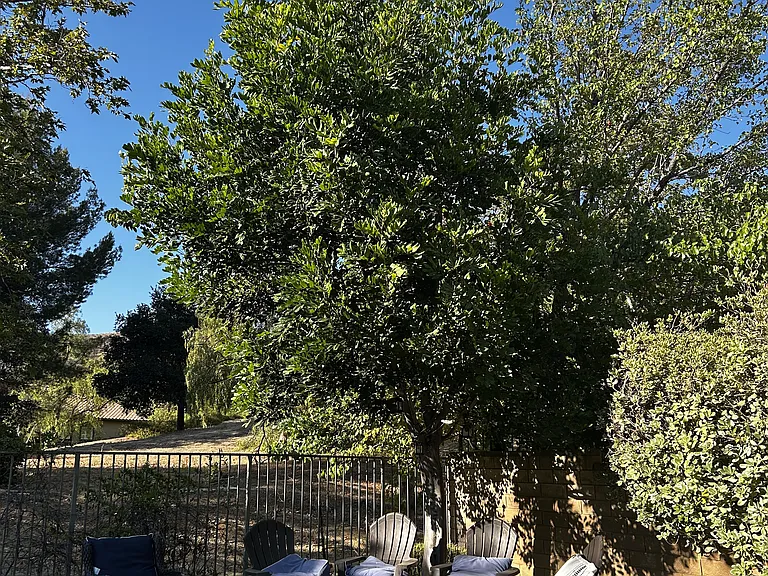 2693 Dorado Ct — Photo 62