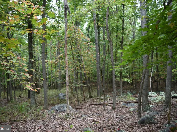 Black Bear Trl, Harpers Ferry, WV 25425