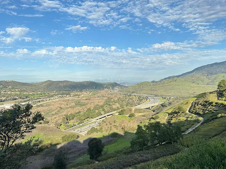 View of the backyard