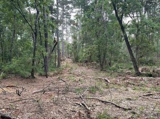 R15685 Moore Cemetery Rd, Batson, TX 77519