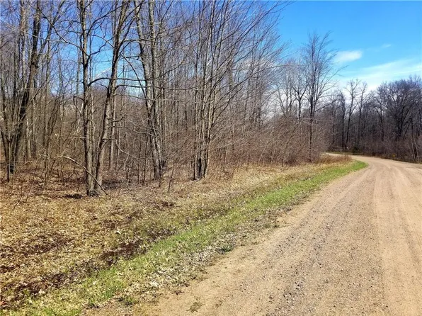 XXX Crystal Waters Ct, Willard, WI 54493