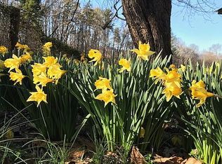 211 Lewis Brown Rd, Dahlonega, GA 30533