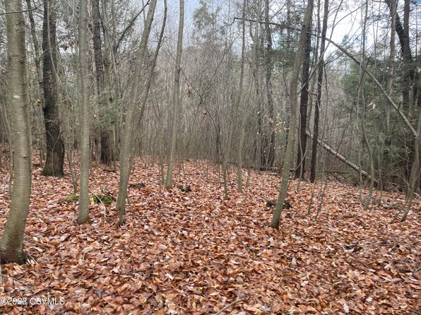 Bloomsburg Pa Land Lots For Sale 6 Listings Zillow