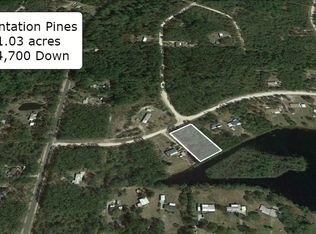 109 Seminole Trl, Georgetown, FL 32139