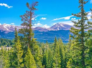 209 Pyrite Rd, Alma, CO 80420