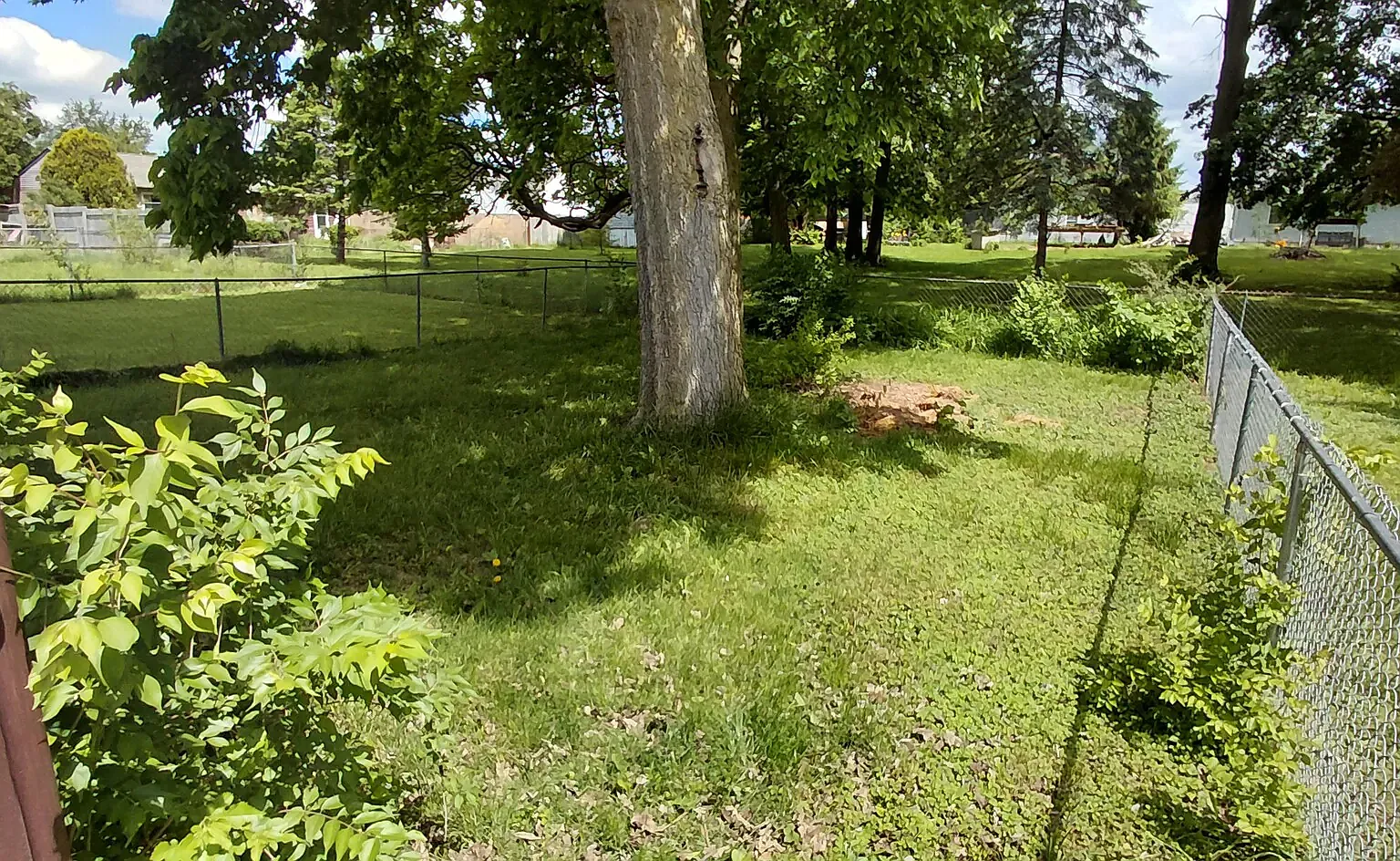 3 bed, 1000 sqft, $1,695 — Photo 2