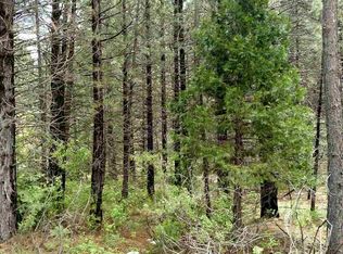 95 Ada Ln, Meadow Valley, CA 95956