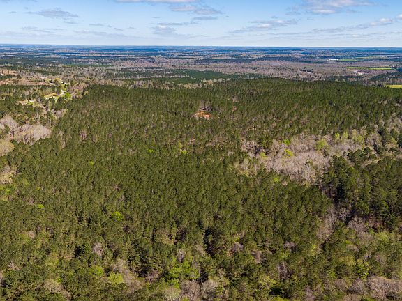 4th image of 1 Timothy Rd