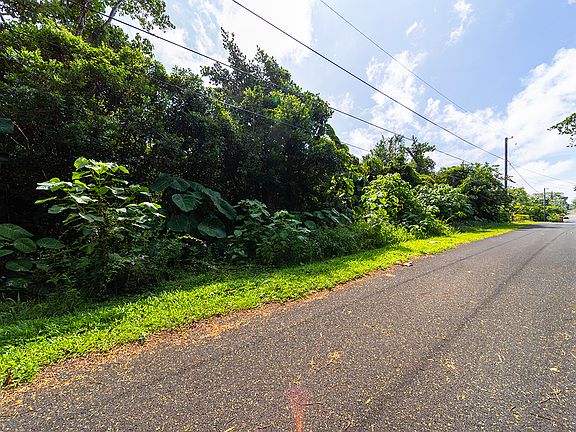 5th image of Opakapaka St Lot 10