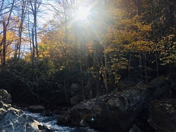 5th image of 214 Davis Ridge Road
