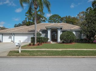 4901 Turtle Creek Trl, Oldsmar, FL 34677