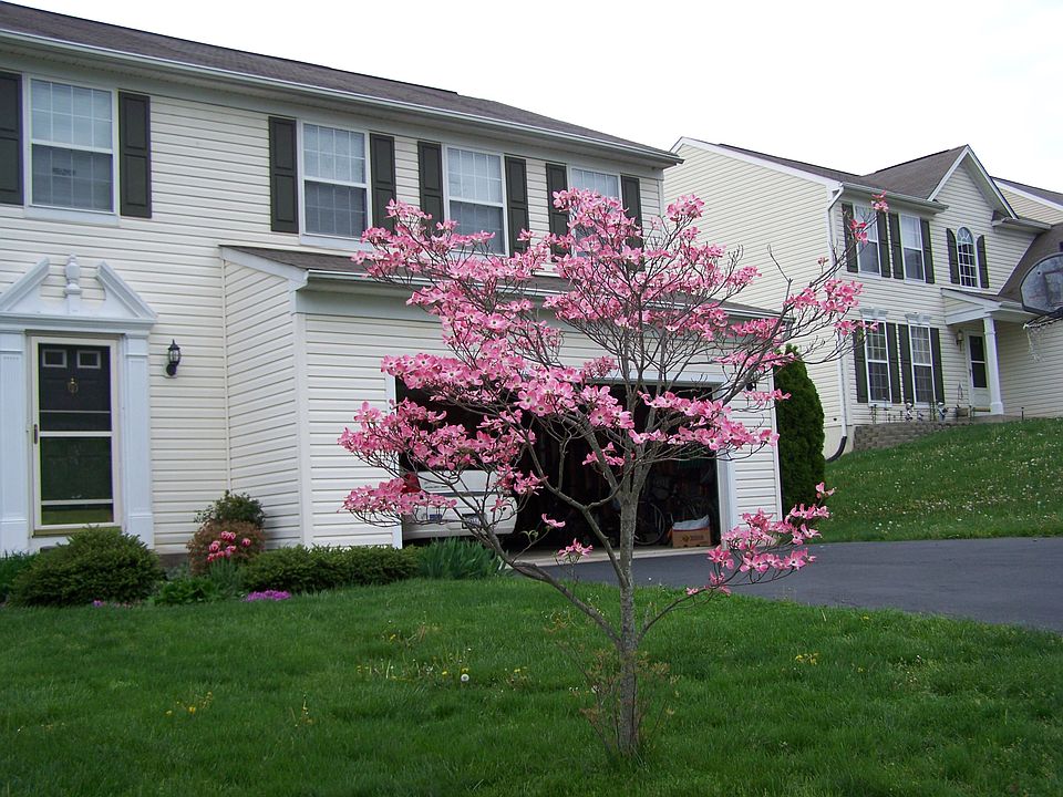 2nd image of 3005 Creek View Way