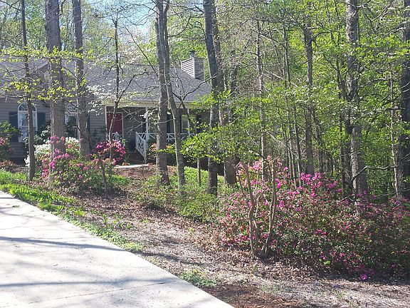 Azaleas front and back.