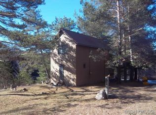 288 Mountain Home Rd, Piseco, NY 12139