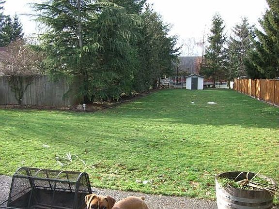 Fenced Backyard