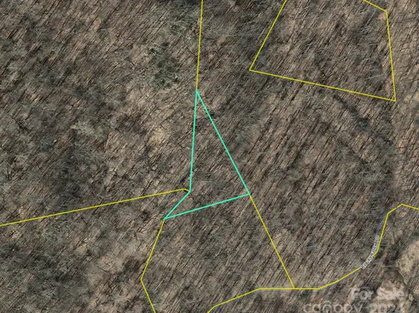 0 Rocky Fork Rd, Burnsville, NC 28714