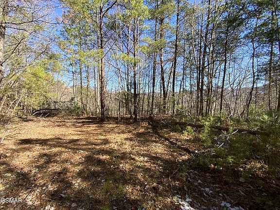 2nd image of 7 Hatcher Mountain Rd Lot 7-R