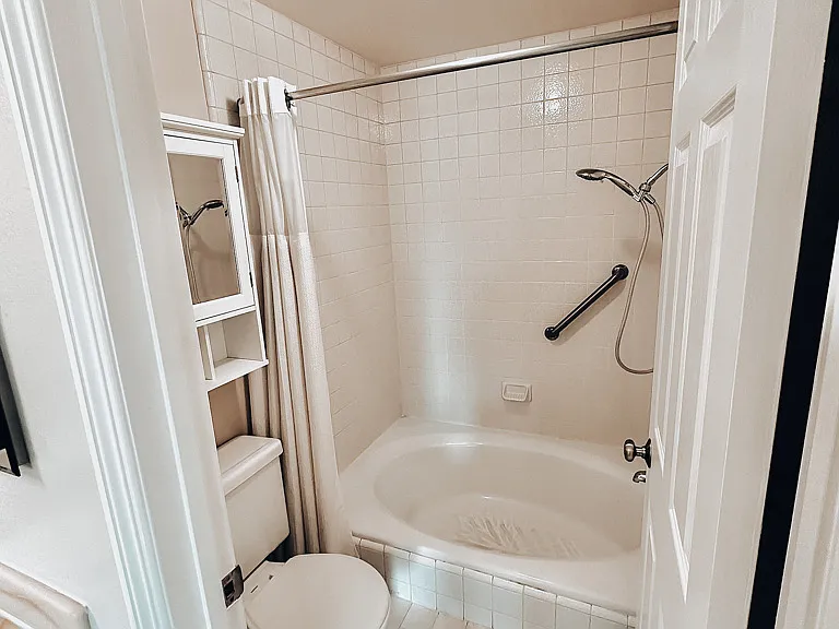 Master Bathroom with step-in bathtub