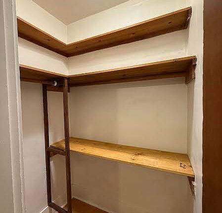 Walk in hall closet