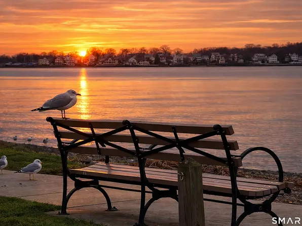 24 Woodward Ave APT 46, New Haven, CT 06512