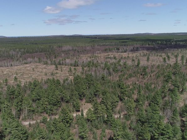 480 Acres Off, Michigamme, MI 49861