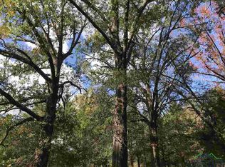 Tbd Curtis Black Rd, Hallsville, TX 75650