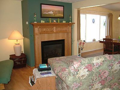 DEN W/ GAS FIREPLACE