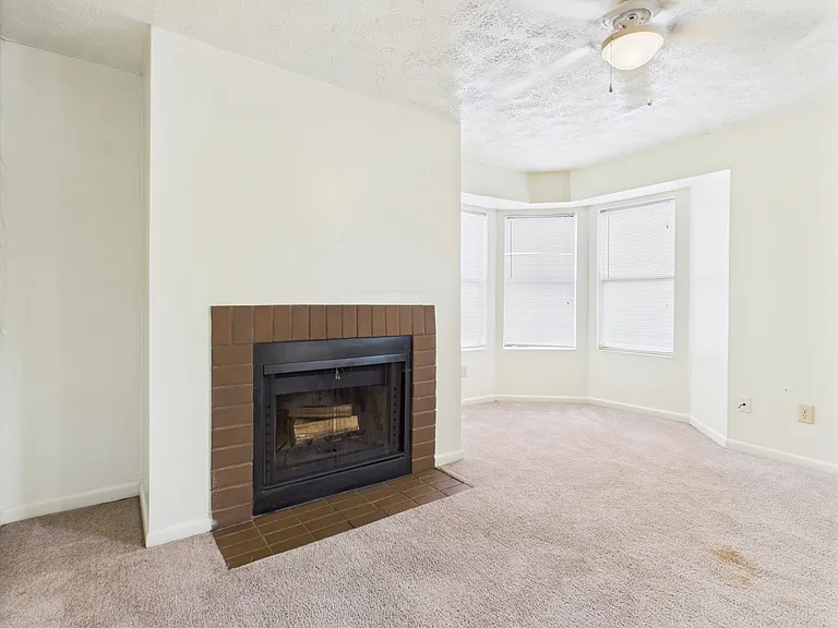 4441 Old College Rd — Photo 5