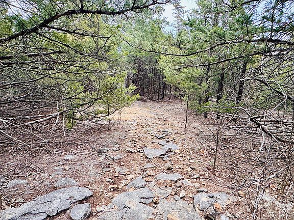 51st image of this home