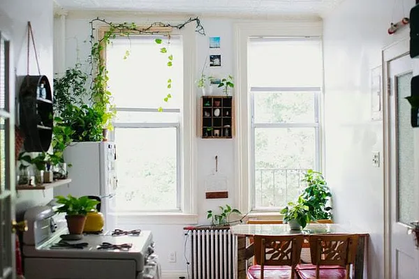 Rented by Brooklyn Real Estate Services | media 19