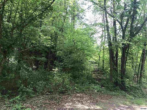 5th image of 3126 Noland Dr
