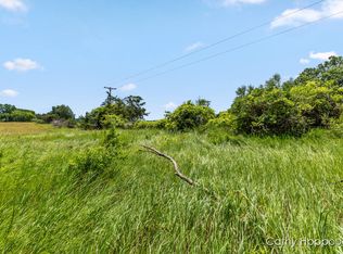 Staley Rd #1, Lyons, MI 48851