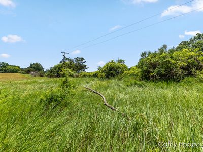 Staley Rd #1, Lyons, MI, 48851