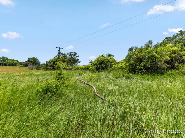Staley Rd #1, Lyons, MI 48851