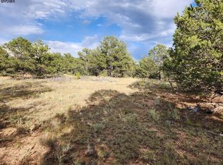 44th Trl, Cotopaxi, CO 81223