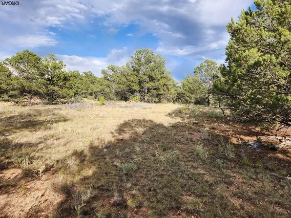 44th Trl, Cotopaxi, CO 81223