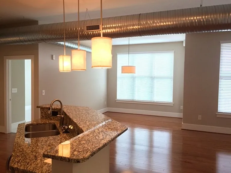 300 Finsbury St #207 — Photo 5