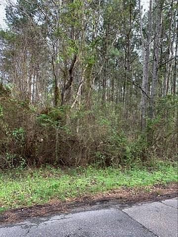 1st image of Chris Kennedy Rd